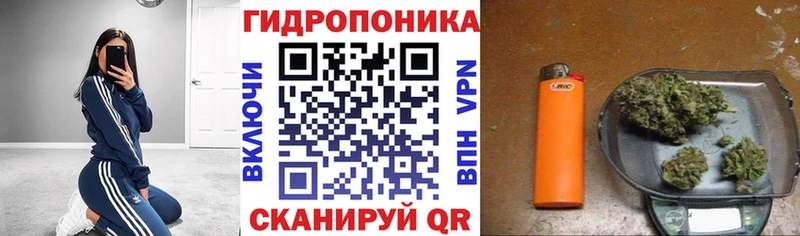 Шишки марихуана SATIVA & INDICA  Купить закладки  Малаховка 